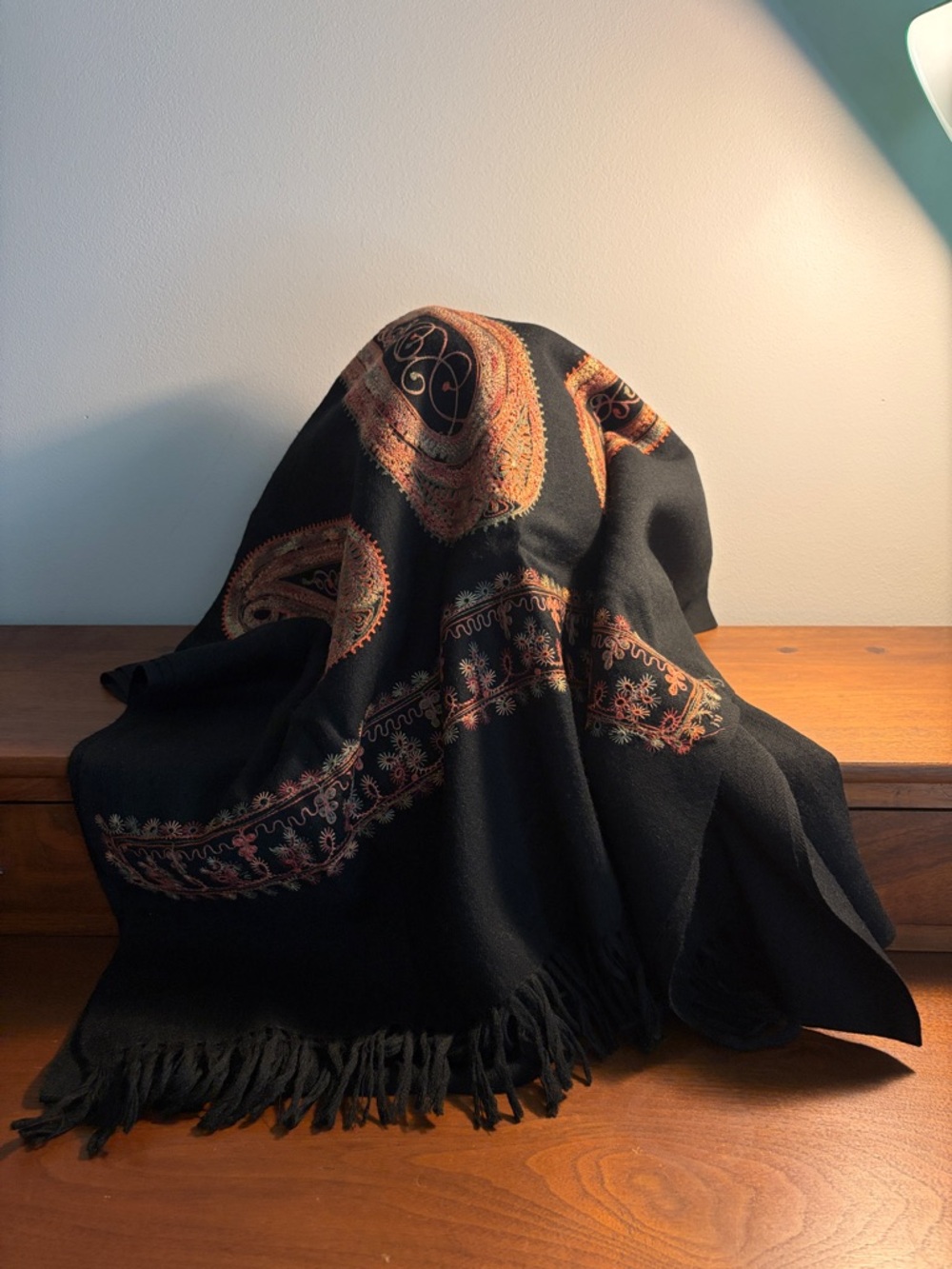 NWT Deadstock Metropolitan Museum of Art Kashmiri Paisley Embroidered Wool Shawl